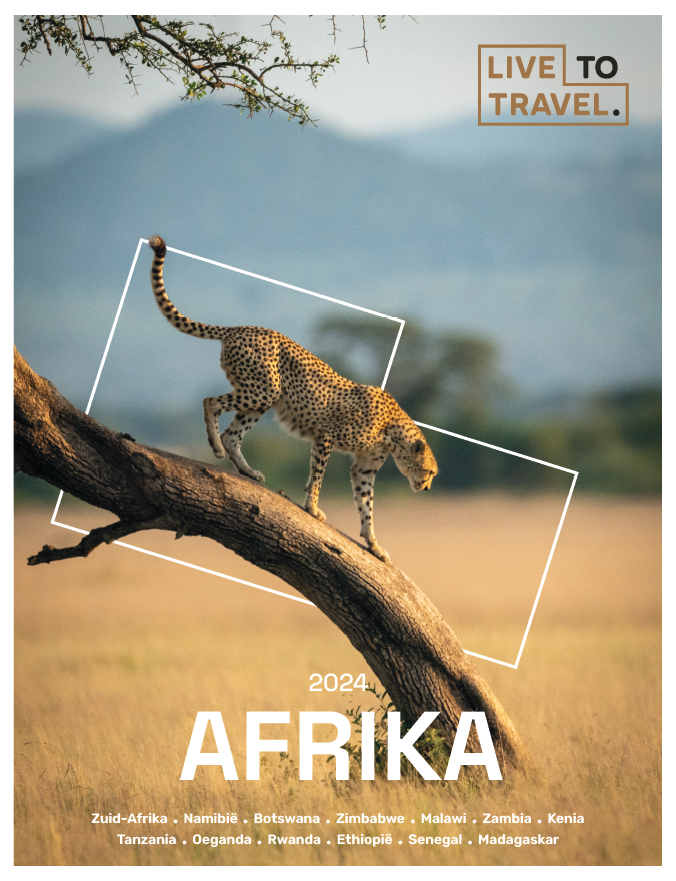 cover-afrika-2024.png