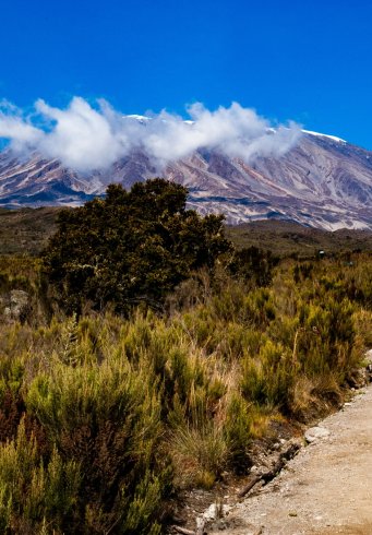 Beklimming van de Kilimanjaro: Rongai Route