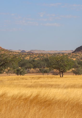 De Grote Rondreis Namibië • Standaard